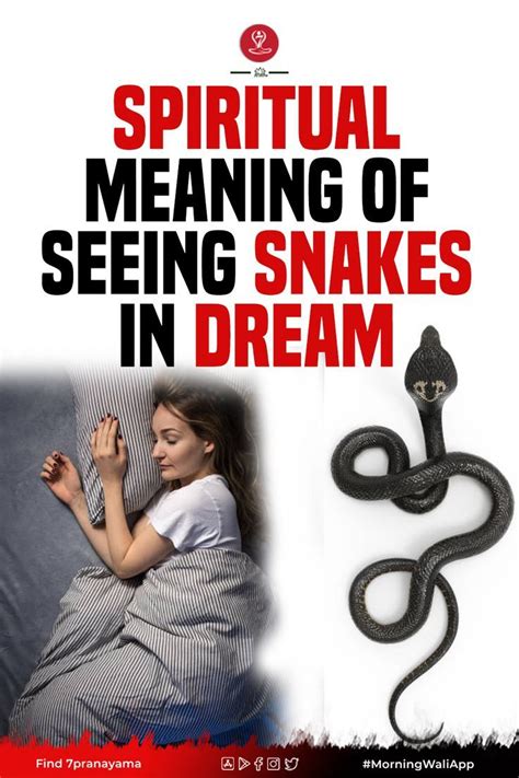 snake meaning in lottery|Dreams About Snakes: Spiritual Meaning by Expert .